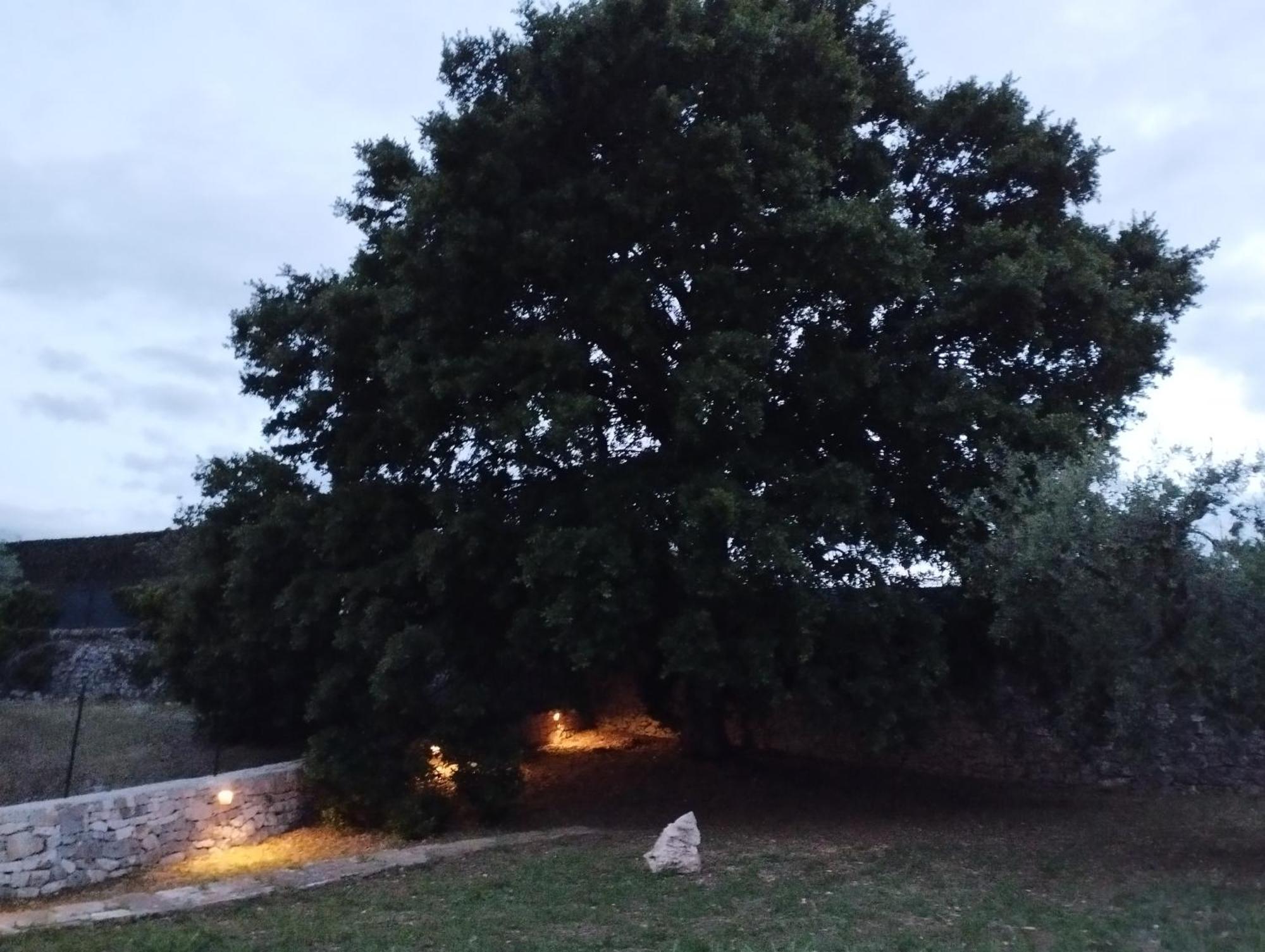 Villa Trulli La Quercia Del Nonno Locorotondo Exterior foto